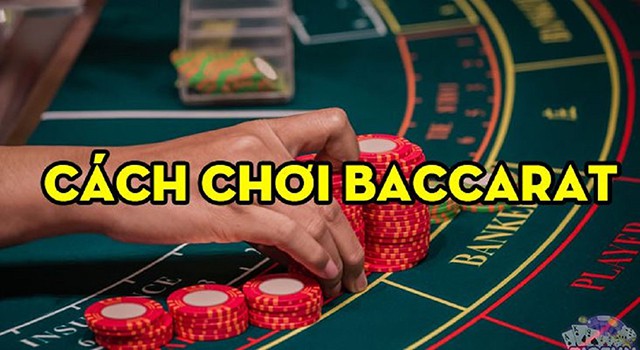 Cách để chơi Baccarat giỏi để nắm giữ nhiều cơ hội chiến thắng hơn