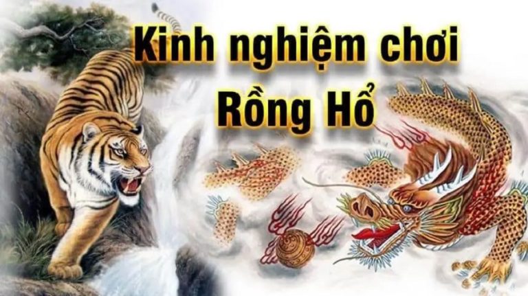 Những nguyên tắc để chơi Rồng Hổ có khả năng thắng cược tốt nhất